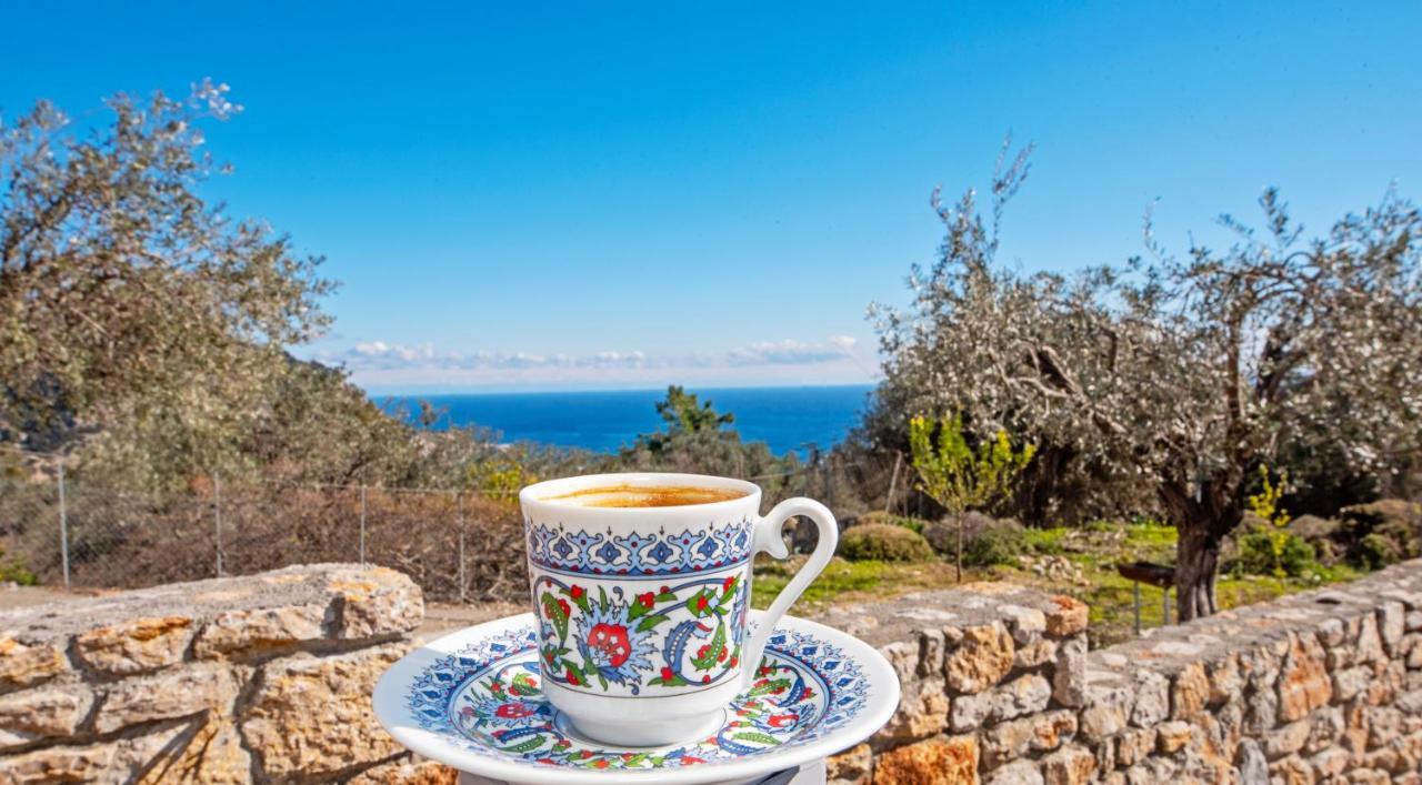 Sea Rock Villa Rodos Archangelos  Zewnętrze zdjęcie
